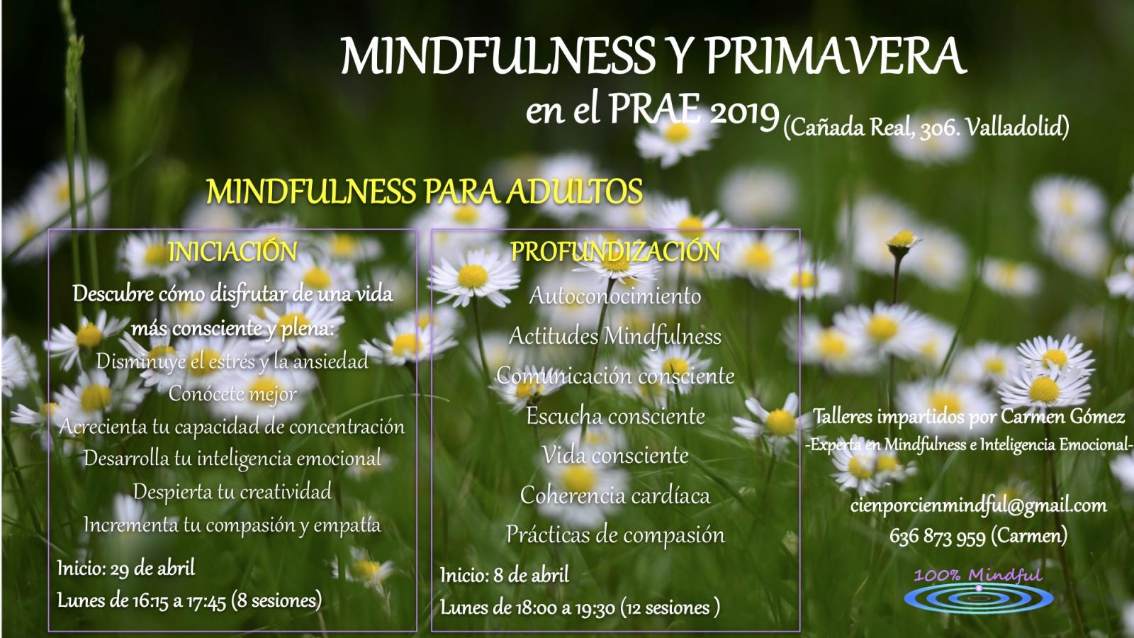Talleres Mindfulness y primavera (adultos)